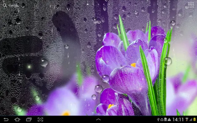 Rain Live Wallpaper android App screenshot 1