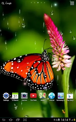 Rain Live Wallpaper android App screenshot 4